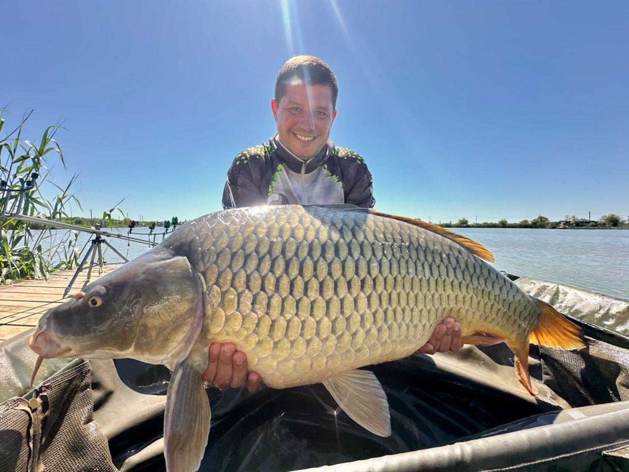 Фото из чата