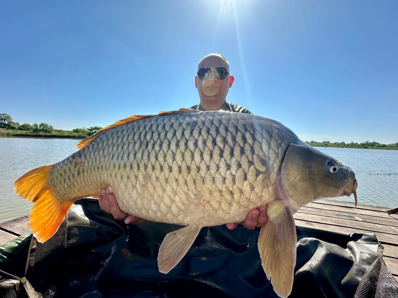 Фото из чата